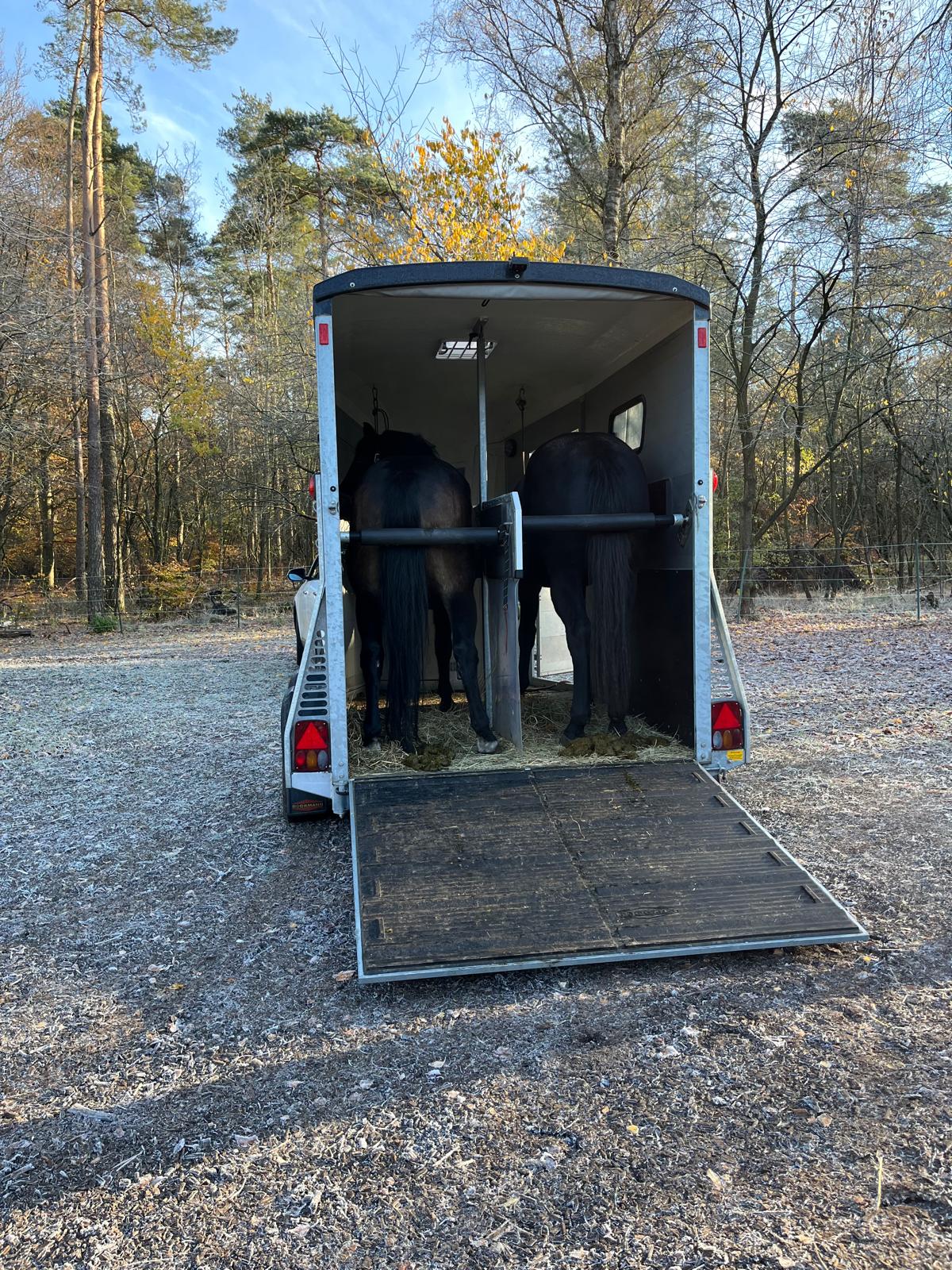 Verladekurs